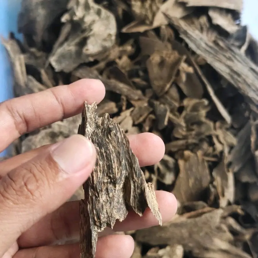 Kayu Gaharu Super Aquilaria Malaccensis Gaharu Asli Buhur Bukhur Gaharu Kalimantan Pewangi Ruangan Aroma Terapi 250gr