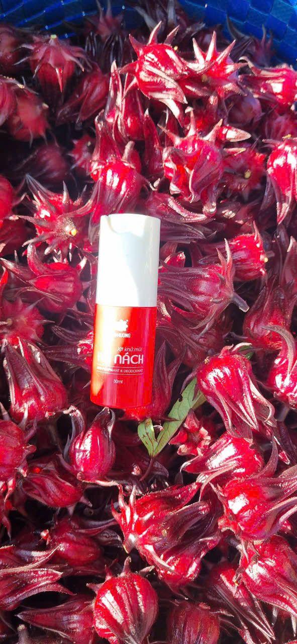 Product Introduction of xịt khử mùi LINH HƯƠNG,trị hôi nách,hôi chân 5