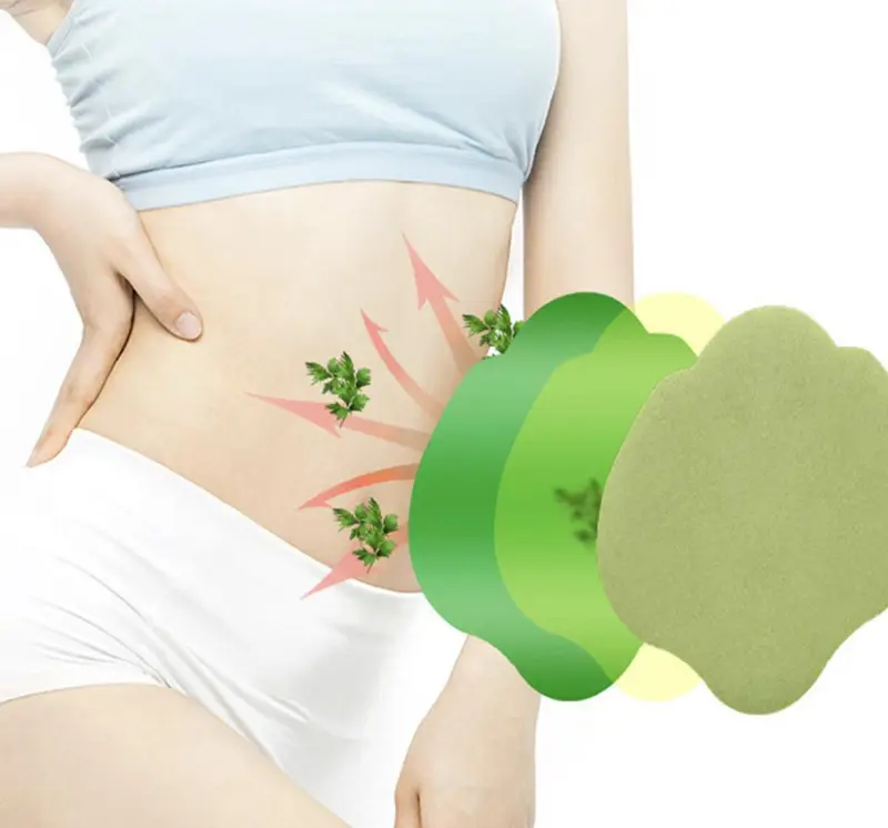 ( Mua 12 miếng tặng 12 miếng ) Miếng Dán EO  Thảo Dược Hút Ẩm, Hút Nước 0