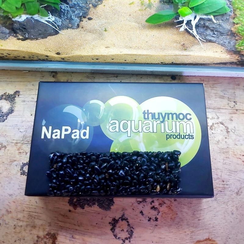 Giá thể trồng cây NaPad Thủy Mộc (Hộp 10 miếng) Nâu/Đen để ươm Ráy, liễu răng cưa, bucep cây thuỷ sinh 2