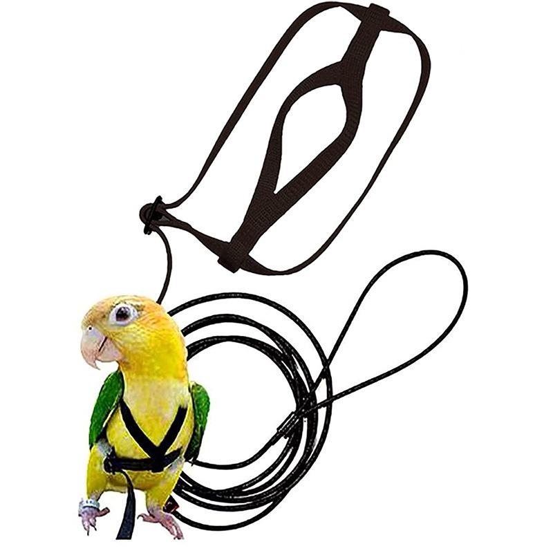 Product Introduction of 1PC Adjustable Birds Harness and Leash Parrot Harness Leash Training Supplies Pet Anti-bite Outdoor Flying Rope for Conures Budgerigar 14
