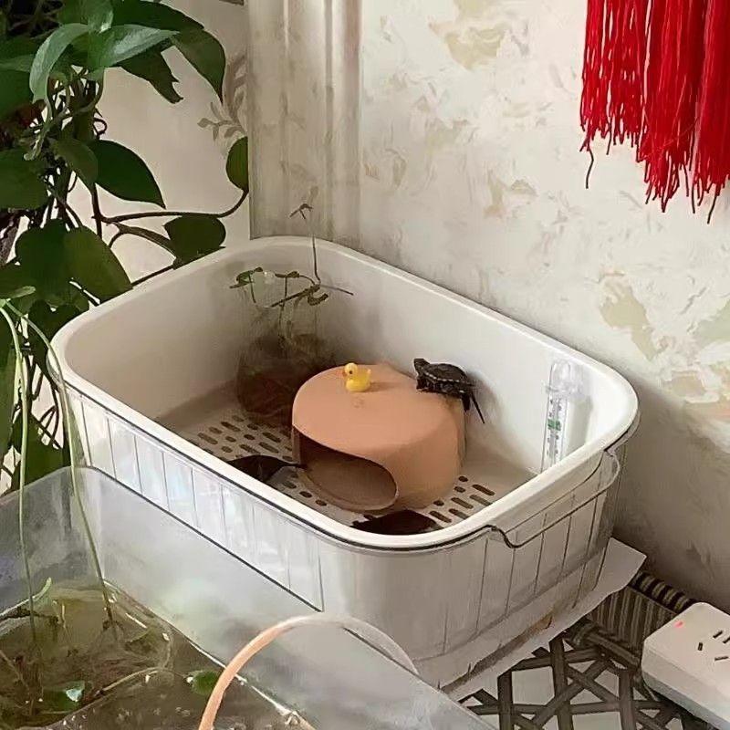 Bể Cho Ăn Rùa, Nhà Trú Ẩn, Để Sử Dụng Trong Gia Đình, Phòng Khách Và Ký Túc Xá, Bàn Phơi Cho Rùa Brazil Nhỏ Bể Cá, Thoát Nước, Thuận Tiện, 2024 7