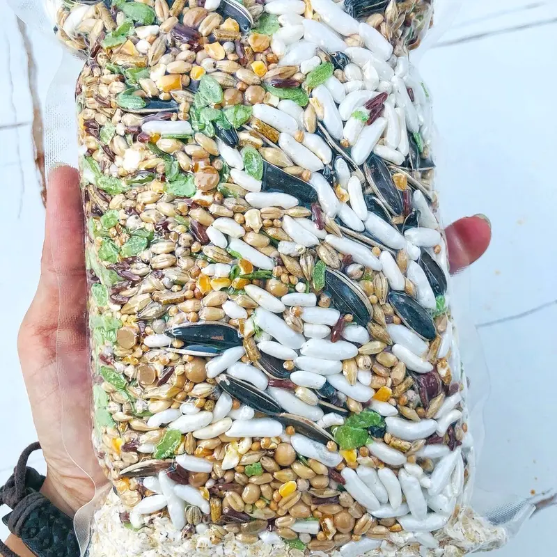 Thức ăn hạt Trộn cơ bản 500g cho chuột hamster 1