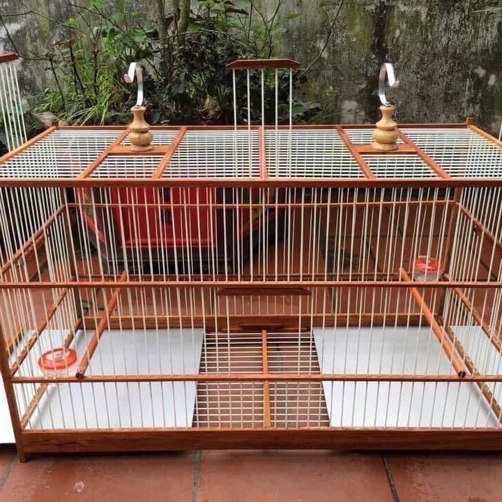 Khung lồng tập lực chào mào, chích chòe tự ráp gỗ nan cáp quang dài 60cm,80cm (ráp sẵn 6 mặt)