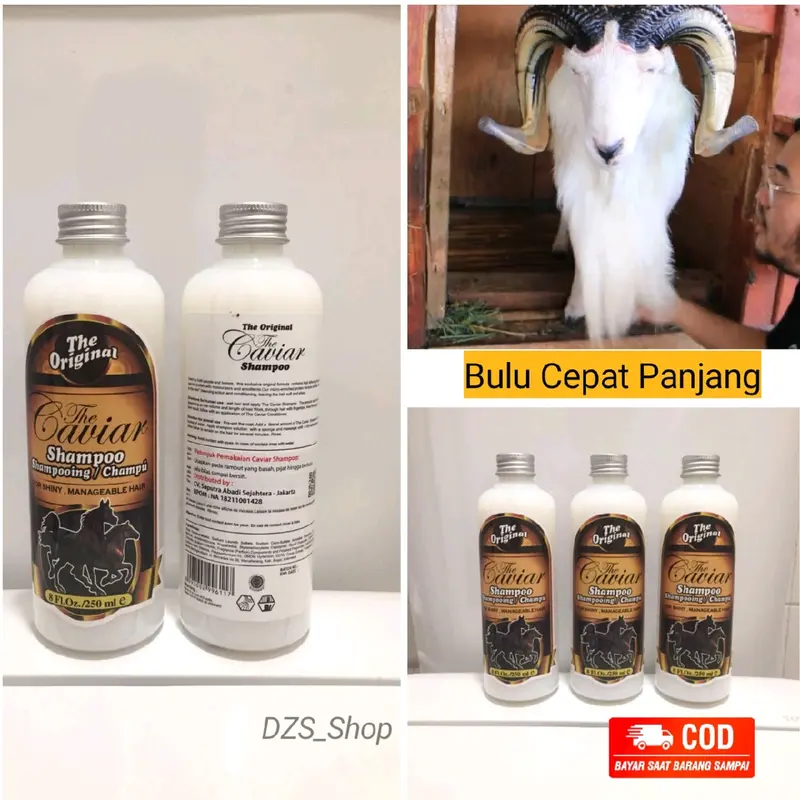 SAMPO KUDA 250ml (Mempercepat Panjang Bulu Binatang) 0