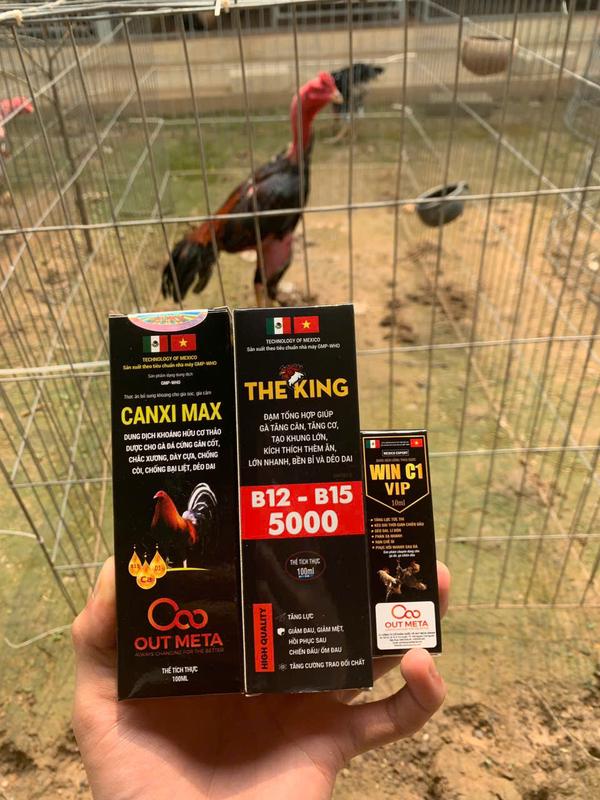 Combo Canxi  Max + The King ( tặng 01 lọ win c1 + 1 bổ nội tạng) giúp nuôi gà mỹ mãn. Bổ gân gối, hừng máu, nơ hông vai... Giúp gà sung căn bền bỉ 1