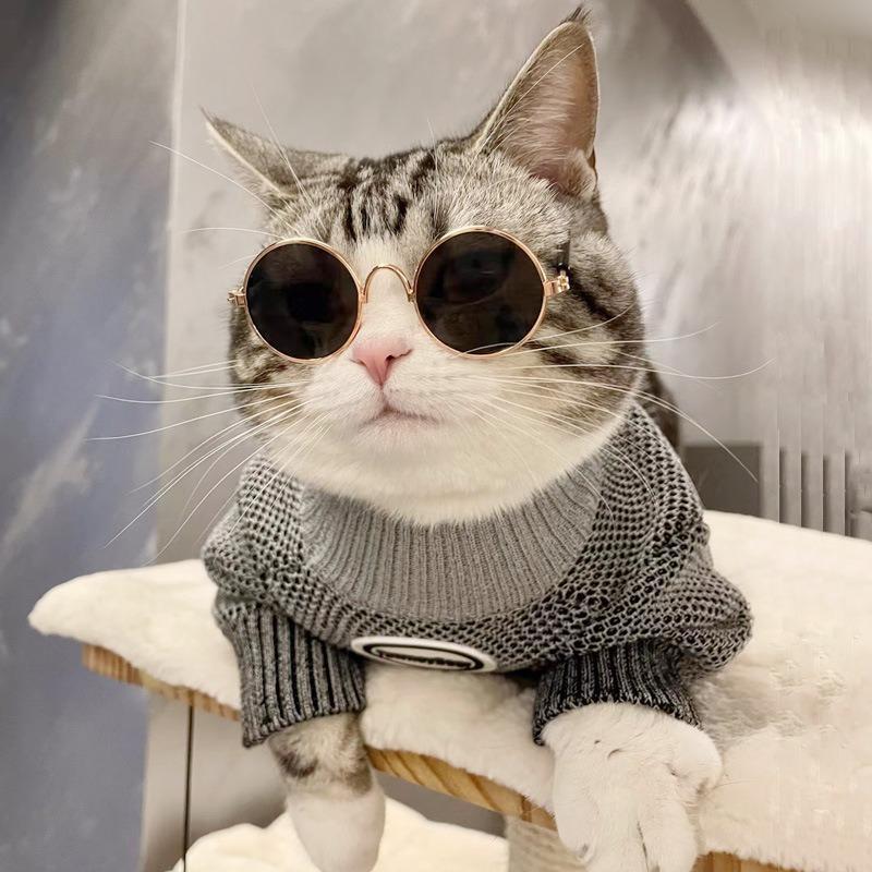 Fashion Eye Glasses for Cats, Retro Circular Cool Sunglasses, Pet Costume Supplies, Round Frame Glasses Photo Props for Small Medium Pets Kids Boys Girls 5