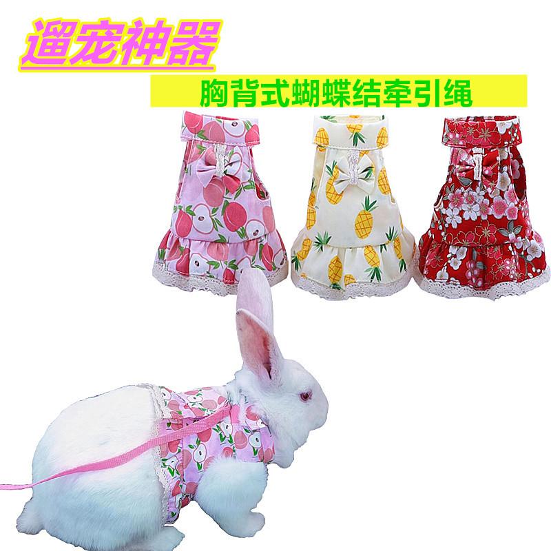 2025 Bunny Leash Dwarf Rabbit Harness Cat Walking Leash Guinea - TikTok ...