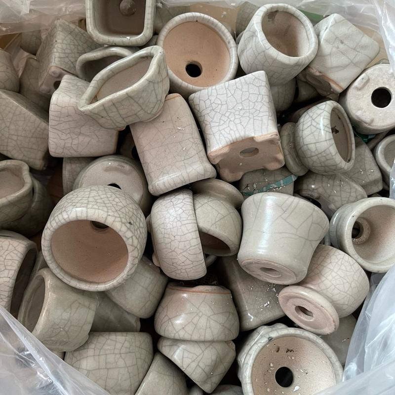 Bộ 10 chậu mini trồng cây bonsai và sen đá