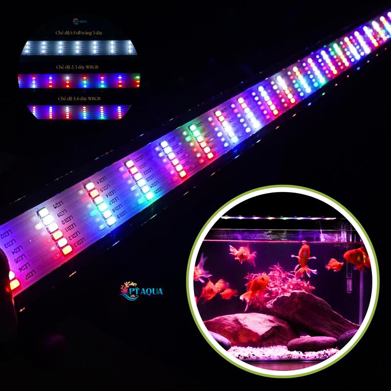 Đèn Bể Cá 1m Đổi Màu 3 Chế Độ Sáng Dành Cho Hồ Cá Hồ Thủy Sinh từ 1m Đến 1m1