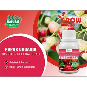 Pupuk organik cair stroberi, GrowBooster stroberi, melebatkan dan memaksimalkan hasil panen2× lipat kemasan 100ml Kalium Tanaman Bunga Daun