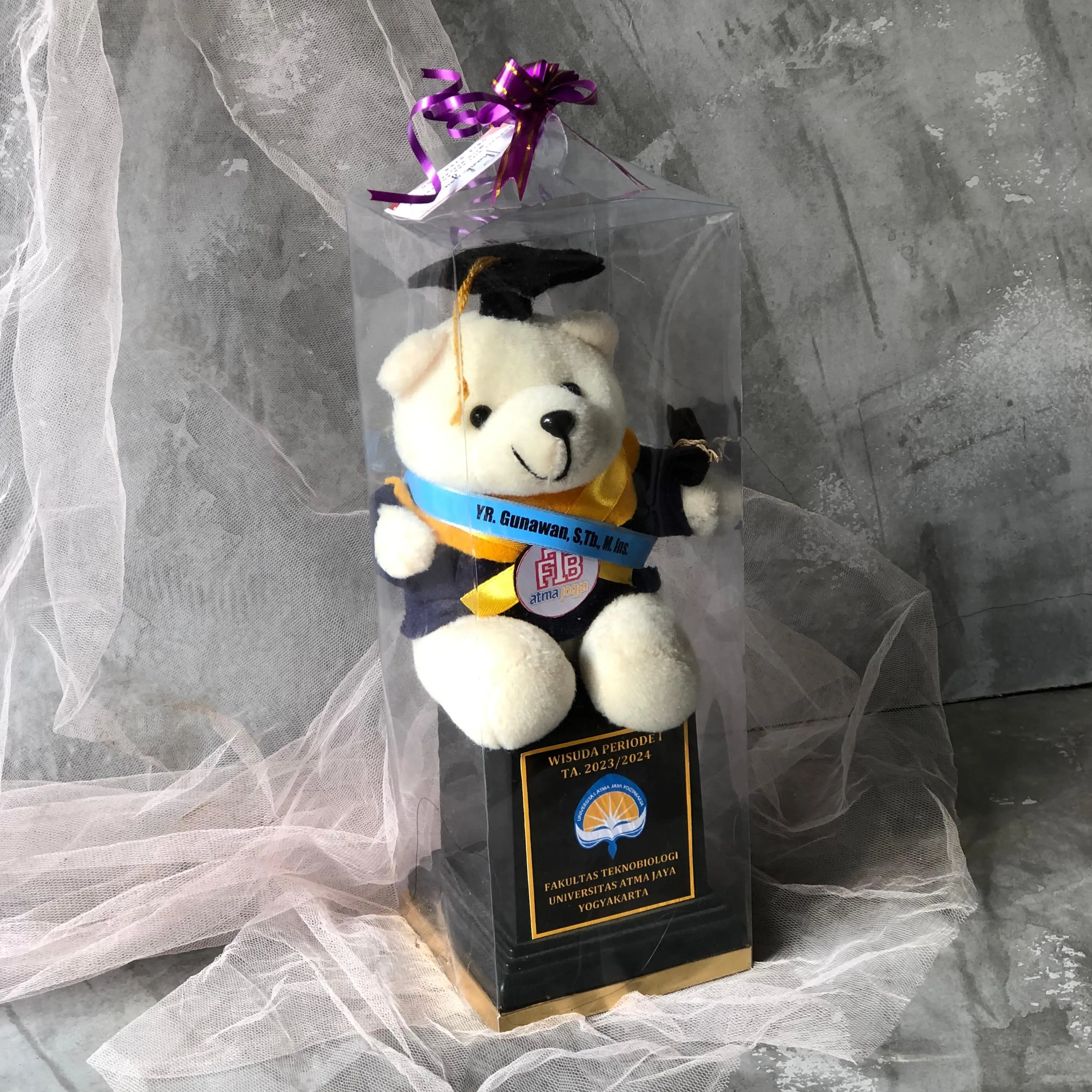 PIALA BONEKA WISUDA / HADIAH WISUDA PIALA MURAH Set Hadiah