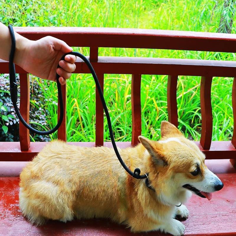 Nylon Dog Leash, Pet Lead With Buckle, Adjustable Pet Walking Leash for Dogs & Cats 8
