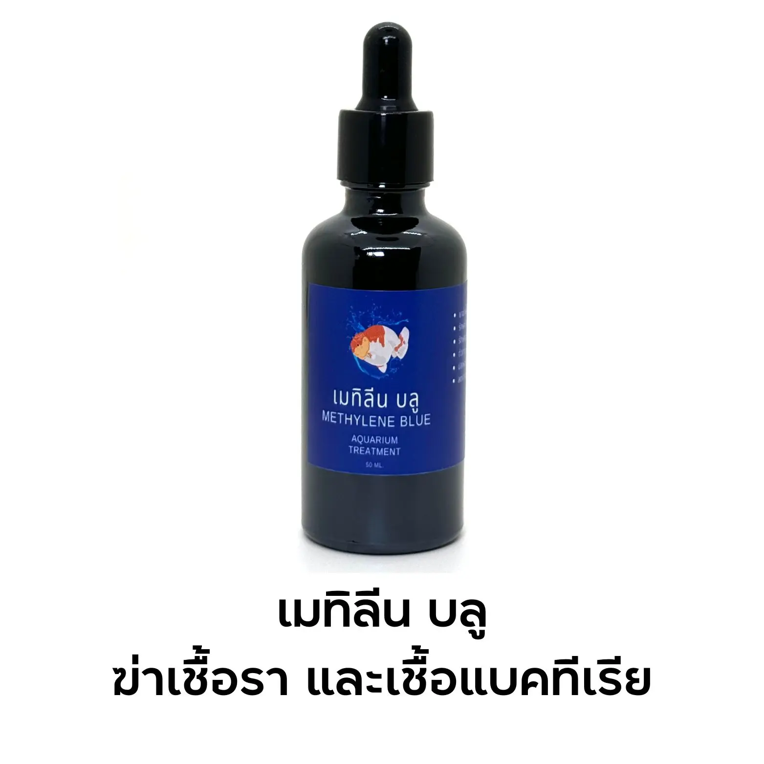 เมทิลีน บลู ฆ่าเชื้อรา เชื้อแบคทีเรีย สำหรับสัตว์น้ำ