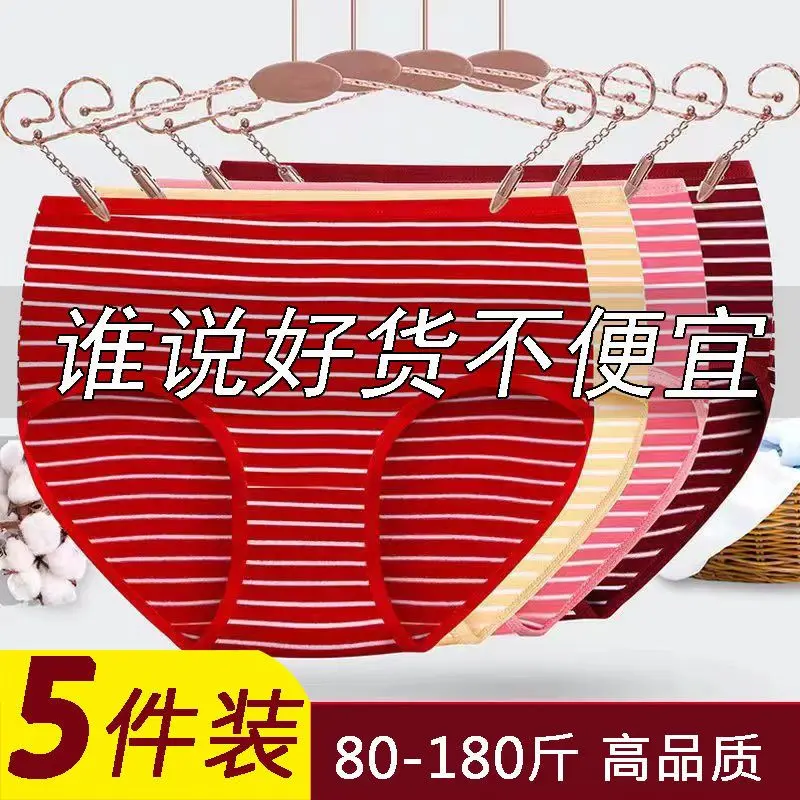 Đồ Lót Nữ, Phong Cách Trung Người Già Và Cao Tuổi, Quần Lót Cho Mẹ, cạp vừa, Quần Đùi Cho Mẹ, Ngoại Cỡ, Thích Hợp Cho Phụ Nữ Trên 40-50 Tuổi, Bộ Sưu Tập Năm 2025 Với Số Lượng 1864