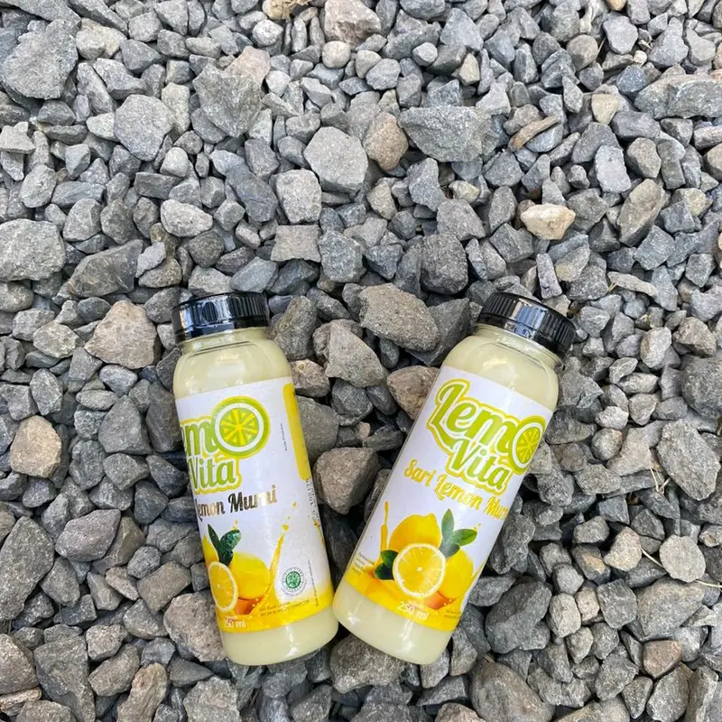 2 Botol Lemovita 250 ml Lemon 1