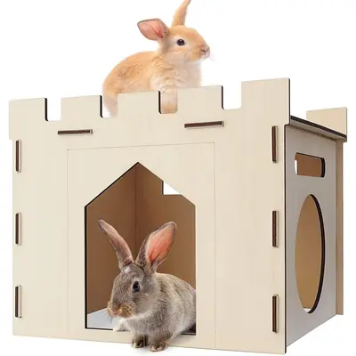 Selected Diy Rabbit Hidey TikTok Shop