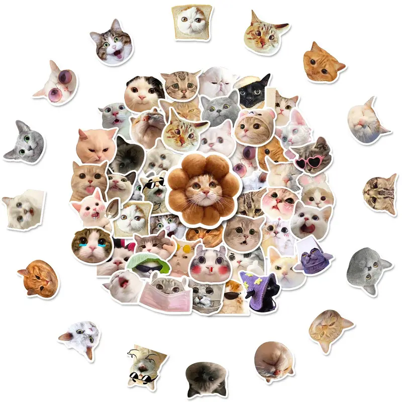 50 Pcs Cute Cat Pattern Stickers, Waterproof Decoration Stickers for Kids Teens, Funny Stickers Decals for Cat Lovers Laptop Water Bottle Scrapbook 2