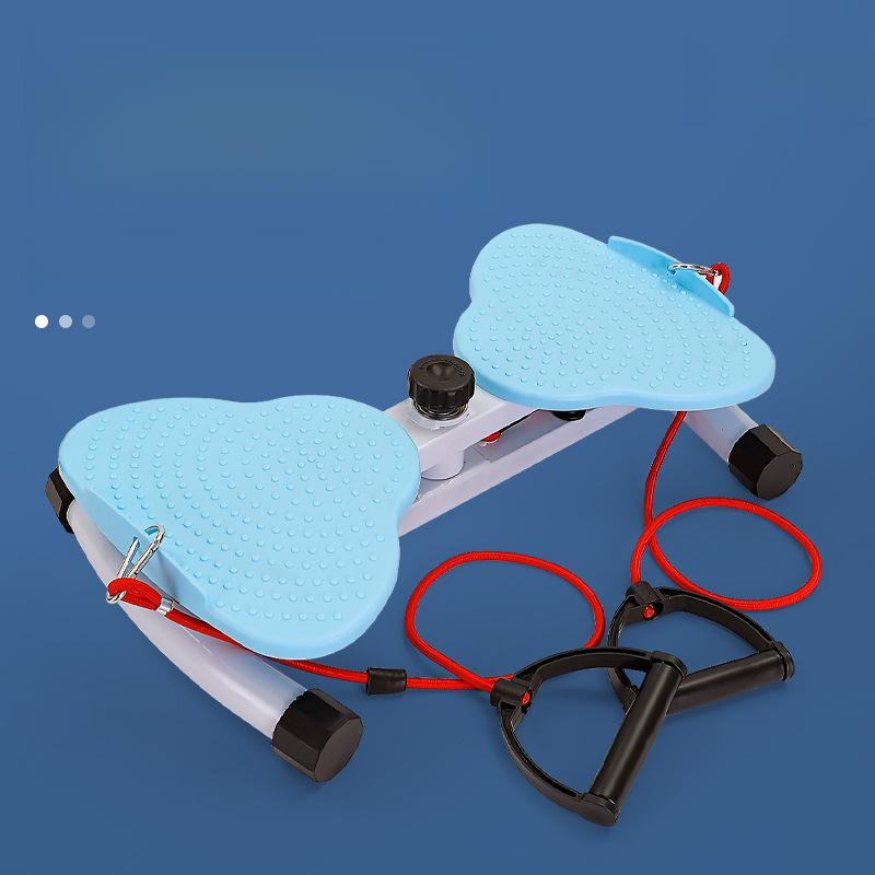Multifunctional Home Use Twisting Machine Silent Exercise Abdominal ...