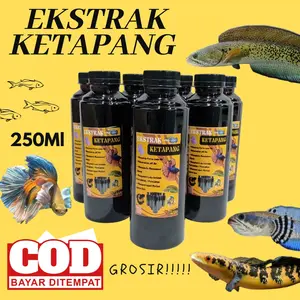 100% Super Pekat 250ml Ekstrak Daun Ketapang untuk Channa dan Cupang TERLARIS!!!