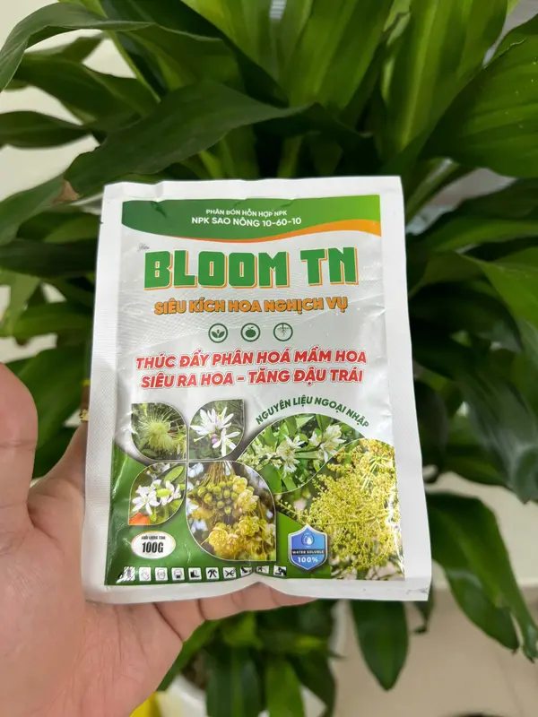 BLOOM TN -kích hoa nghịch vụ - phân hóa mầm hoa phân  bón 4