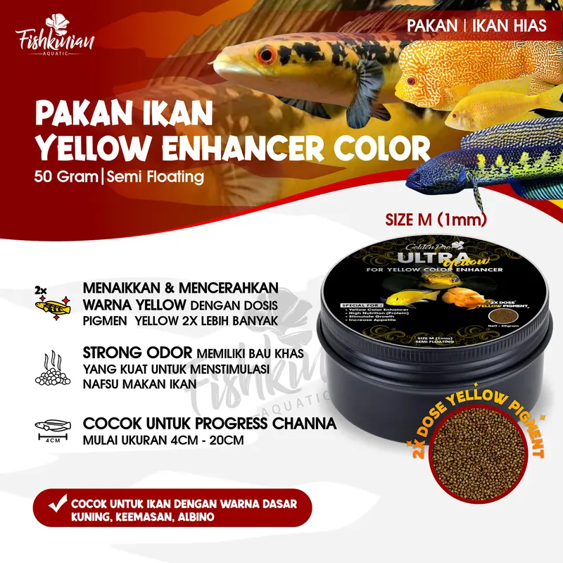 ULTRA YELLOW (M) PELET PAKAN IKAN CHANNA PREMIUM SIZE 1mm 50 gr 0