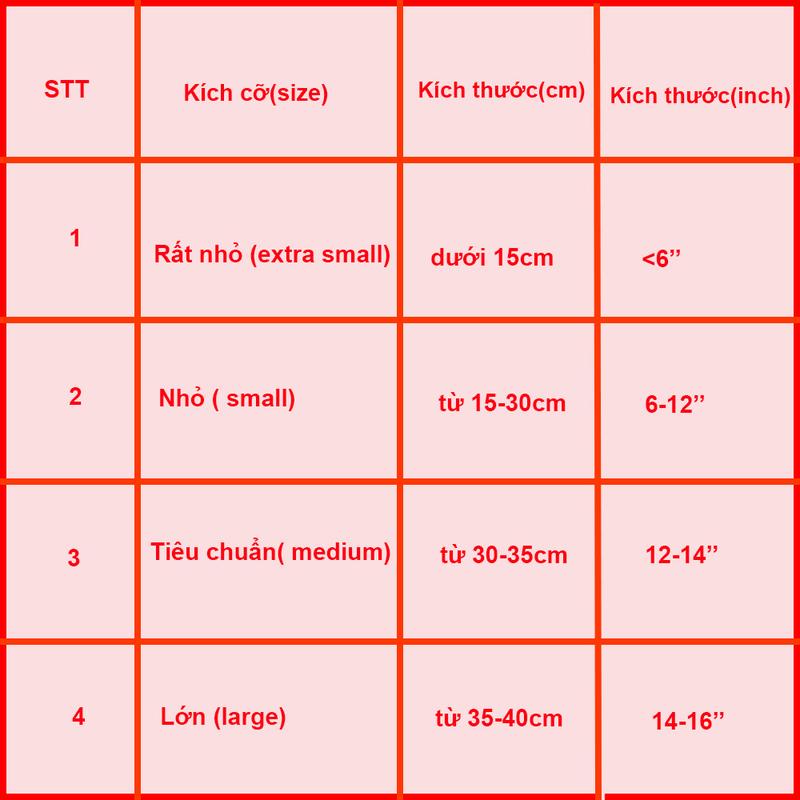 Product Introduction of Túi xách nữ kẹp nách, túi đeo chéo khoá xoay T vân rắn size 21cm Da Bag Đeo Vai Kem Nhung 0