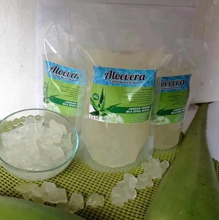nata de aloevera lidah buaya organik kupas siap konsumsi 500 gr Organik Bebas gula Alami Juice Minuman