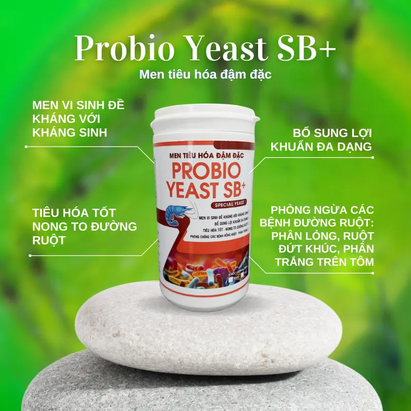 PROBIO YEAST SB+ [454 g/lon] - Men tiêu hóa đậm đặc - Men vi sinh đề kháng với kh.áng si.nh, bổ sung lợi khuẩn đa dạng, tiêu hóa tốt, nong to đường ruột, phòng chống các bệnh rỗng ruột, phân trắng trên tôm. 5