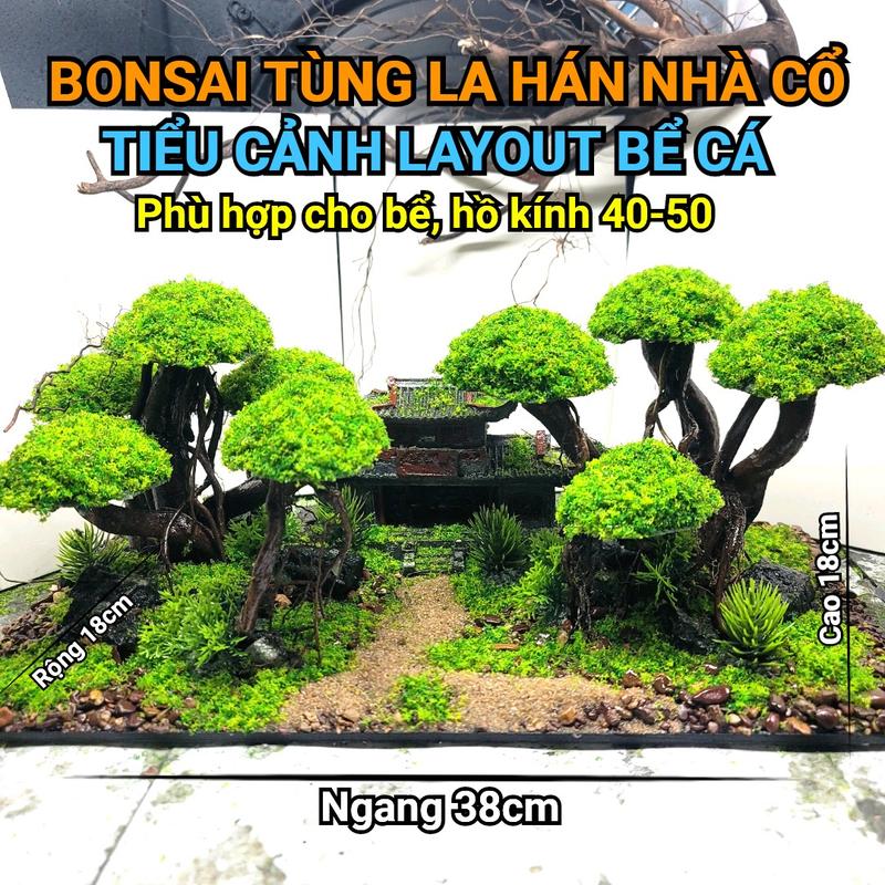 Layout Bonsai bể cá mini Size 27x16x20 phù hợp cho bể từ 30-40cm thủy sinh mini để bàn phụ kiện cá cảnh nuôicá