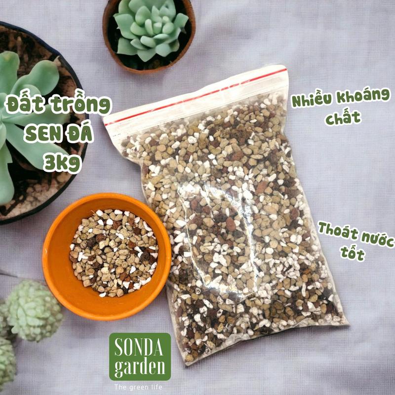 Đất trồng sen đá trong truyền thuyết 3kg SONDA Garden