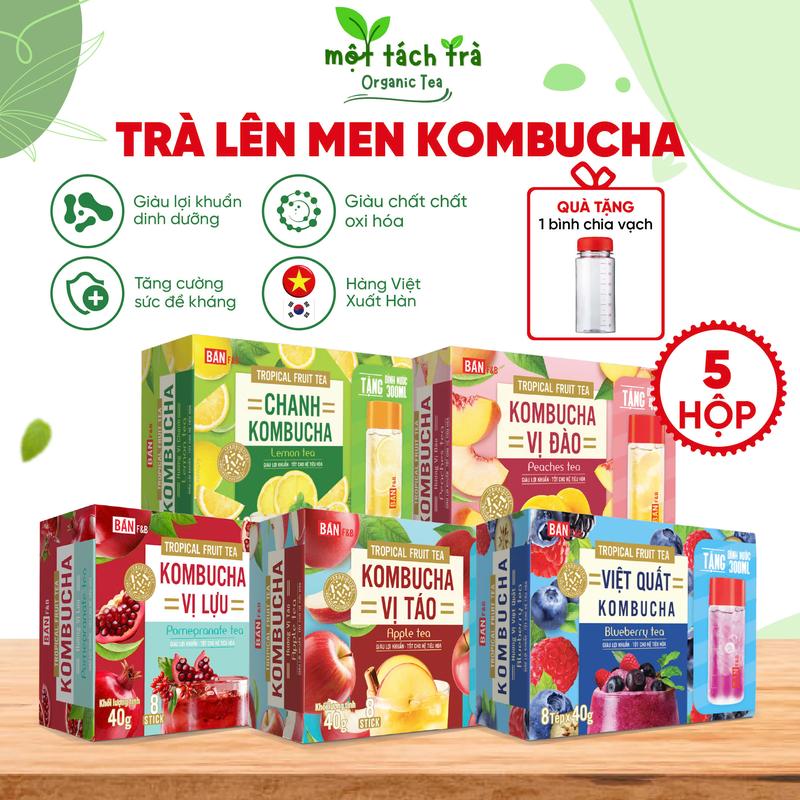 [TẶNG BÌNH] Trà Kombucha Mix Vị Chanh, Đào, Việt Quất, Táo, Lựu Thương Hiệu Bản F&B - Tặng BÌNH NGẪU NHIÊN 1