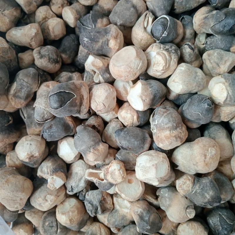 100g Nấm Rơm Mecco Sấy Thăng Hoa 6