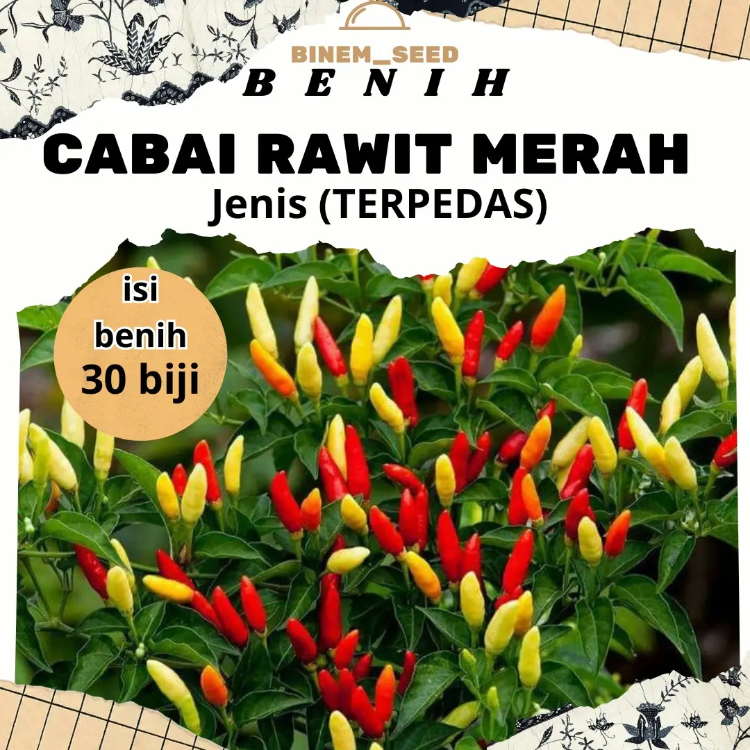 BENIH CABAI RAWIT MERAH TERPEDAS ISI 30