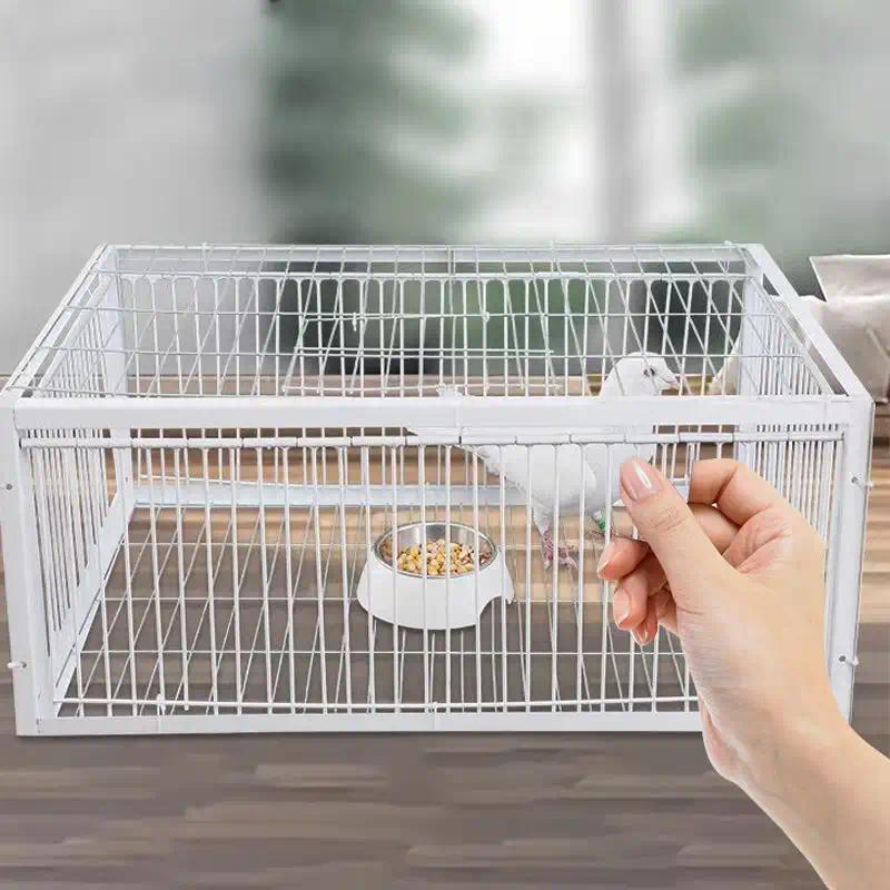 New Auto Trap Bird Cage Rabbit Cage Mouse Cage Entry Only and No Exit ...