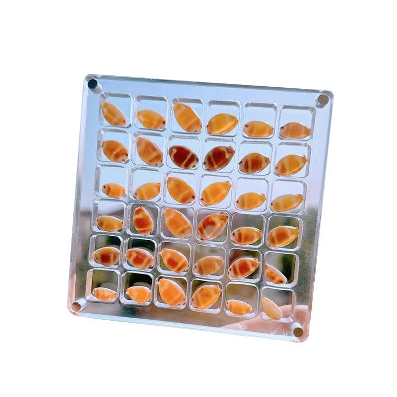 Product Introduction of hộp  đựng vỏ ốc Mini  Hộp Đựng Đồ Vỏ Trong Suốt Sáng Tạo Hộp Đựng Đồ Vỏ Mini Hộp Trưng Bày Đựng Đồ Từ Tính Bộ Sưu Tập Vỏ Nhỏ Bằng Đá Bờ Biển Đồ Trang Trí Xe Hơi 11