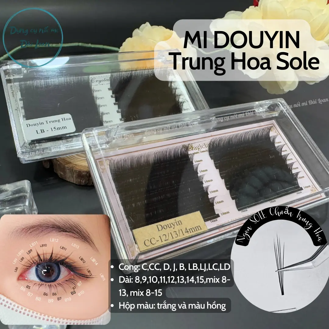 Mi Douyin Trung Hoa Sole 3 Độ Dài, Cong C-CC-D-B-J-LJ-LB-LC dày 0.07 siêu đen mềm (Hộp Màu Ngẫu Nhiên Giữa Crystal Và Magic)