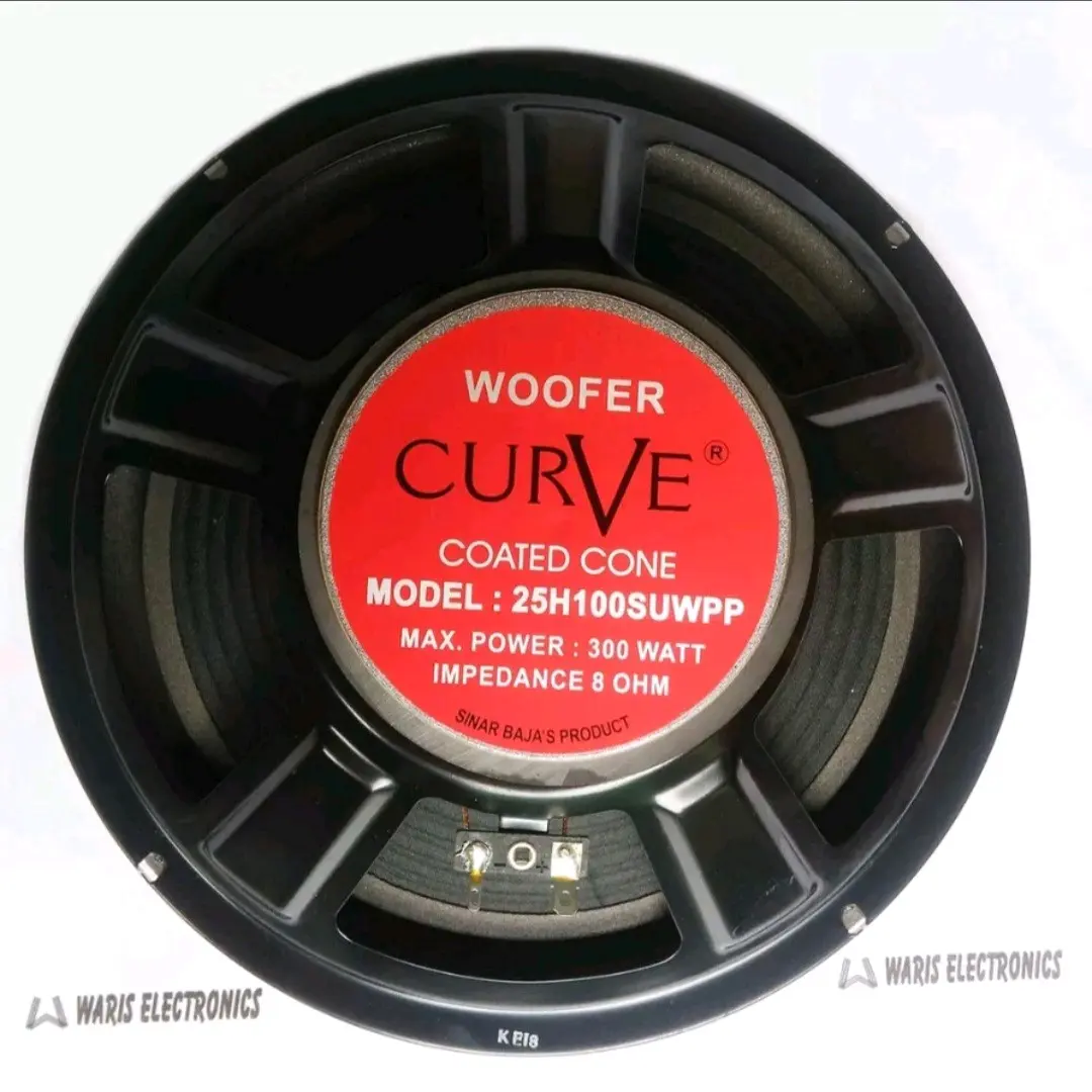 speaker 10 inch woofer curve 300Watt 25H100SUWPP