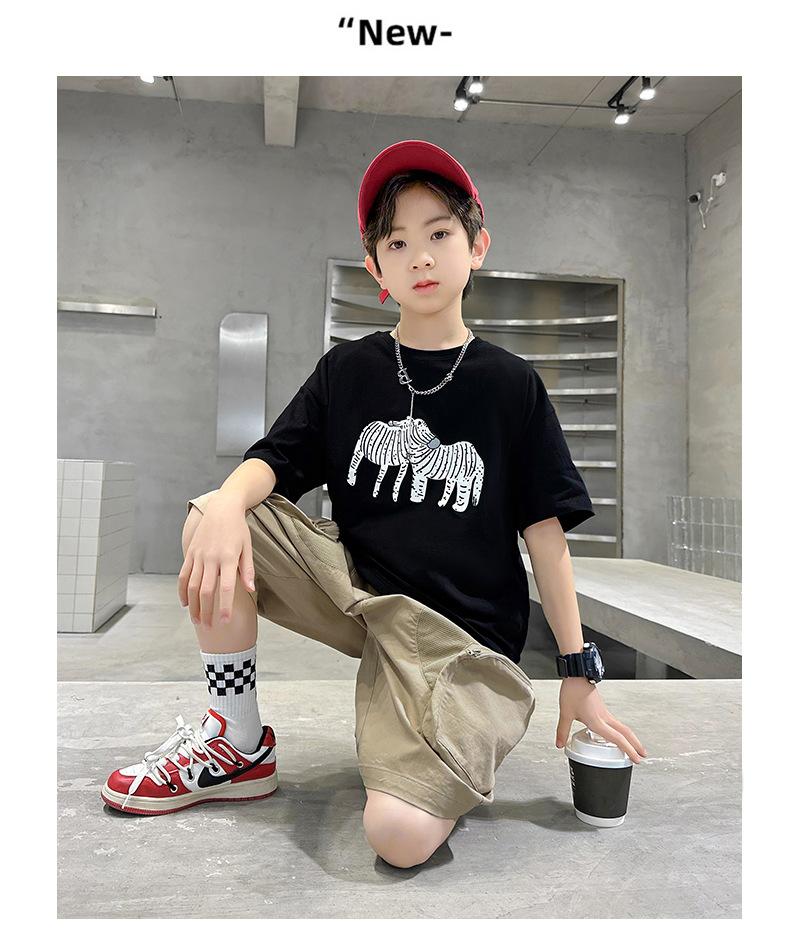 Product Introduction of Boys' Short Sleeve T-Shirt Summer 2025 New Children's Cotton Summer Boys' Trendy Top 26