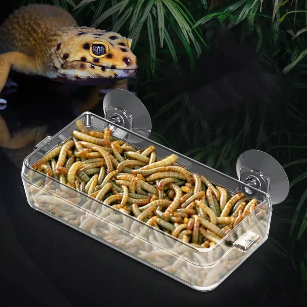 Durable Anti-escape Suction Cup Reptile Feeder Dish Plastic with Suction Cup Reptile Anti Escape Feeder Turtles