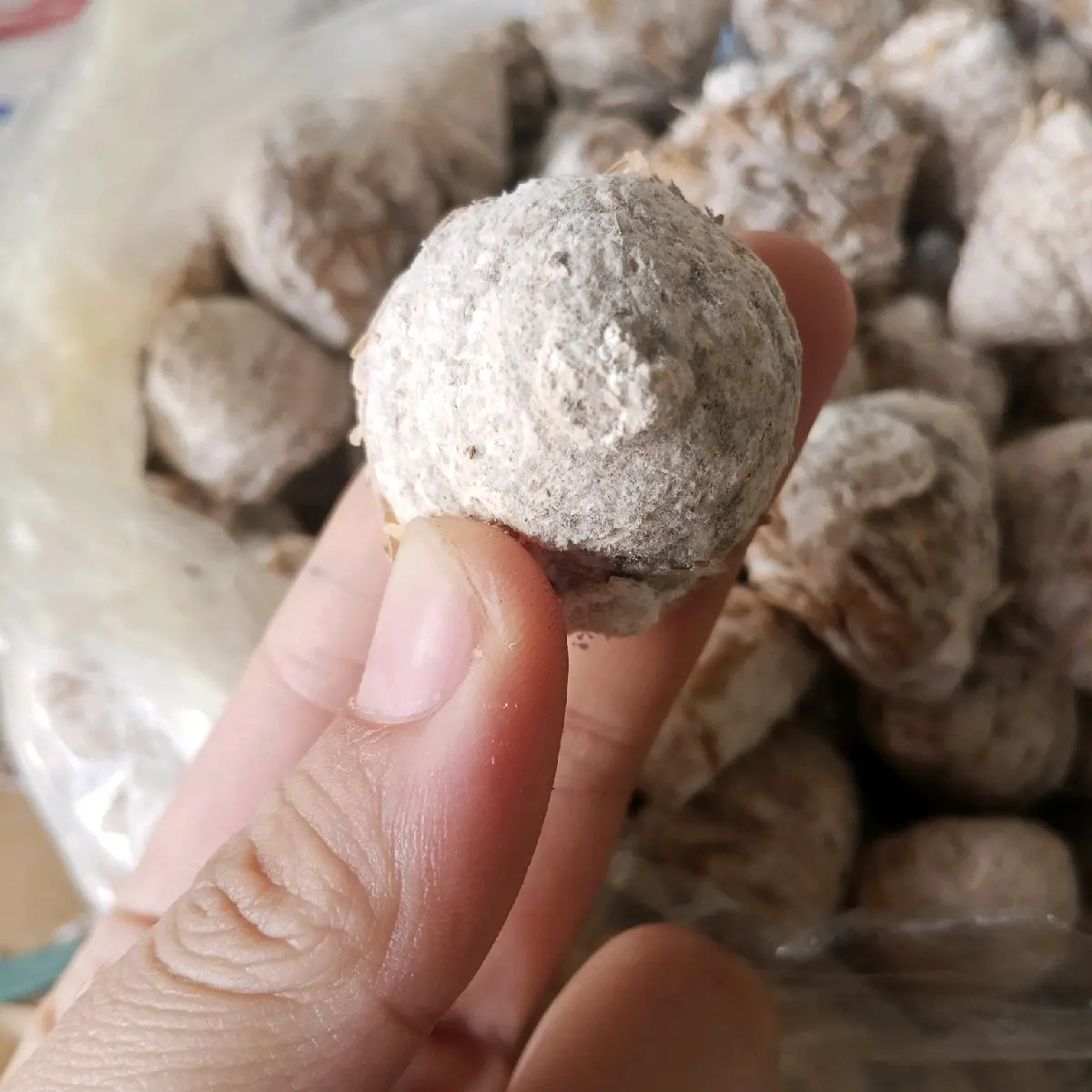 Túi 9 quả men ngọt
