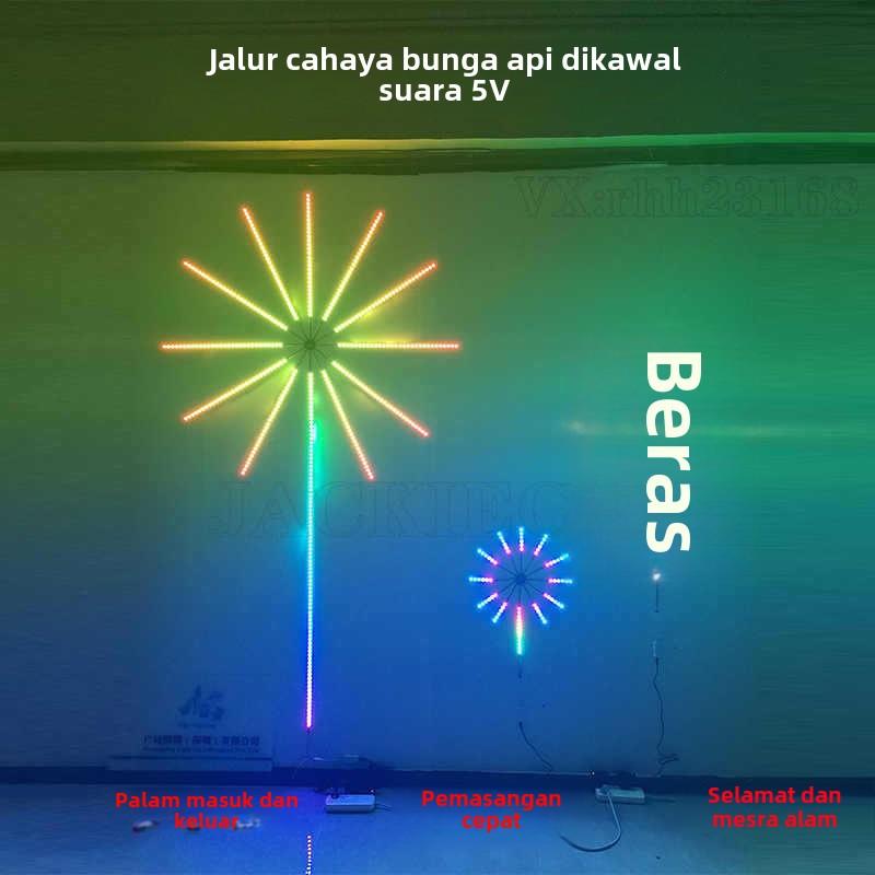 Product Introduction of LED 5V Colorful Firework Lights for a Neon Room 4