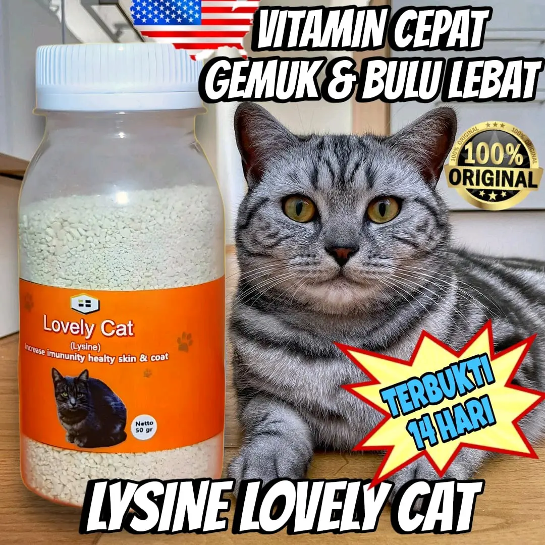 VITAMIN PENGGEMUK & PELEBAT BULU KUCING LYSINE 50 GR || LYSINE VITAMIN PENAMBAH NAFSU MAKAN ANABUL