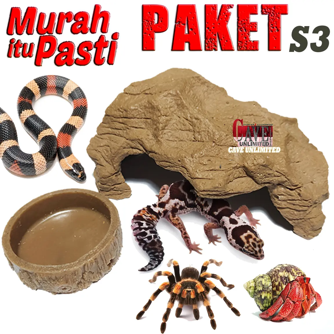 PAKET S3 HIDING CAVE + WATERDISH SEPAKET TEMPAT SEMBUNYI DAN MINUM REPTILE GECKO TOKEK BEARDED DRAGON INSECTA KELABANG KALAJENGKING ULAR CORNSNAKE KELOMANG UMANG KEONG AKSESORIS DEKORASI KANDANG REPTIL TERRARIUM PALUDARIUM