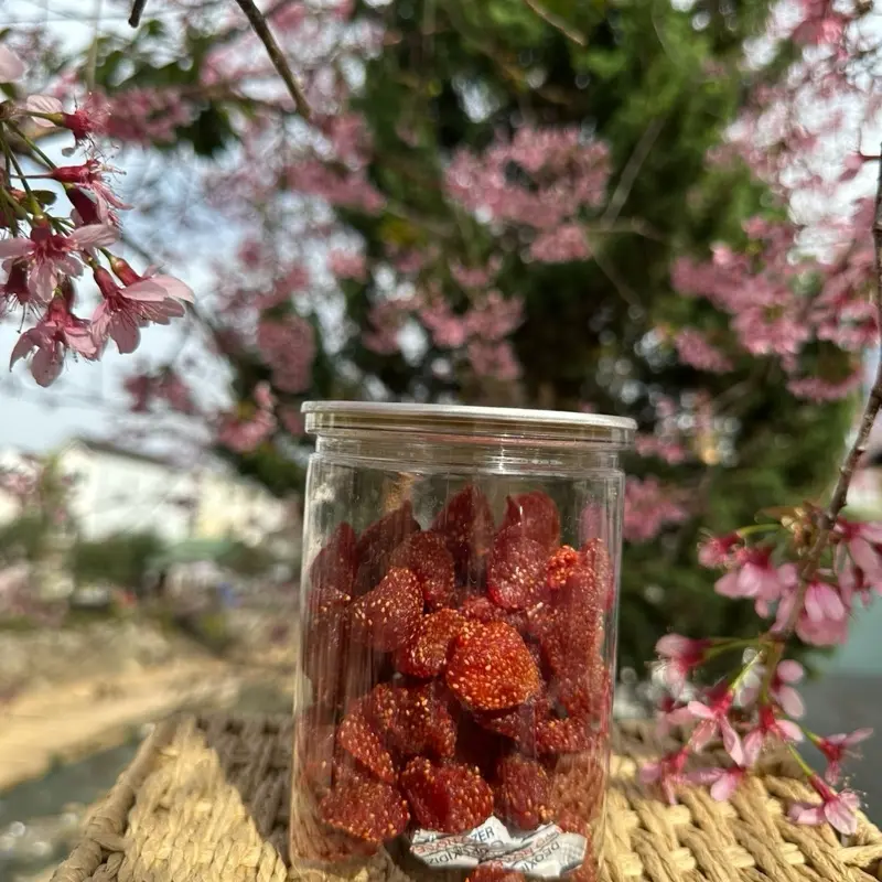 Dâu tây  sấy dẻo truyền thống Đà Lạt hũ 300g