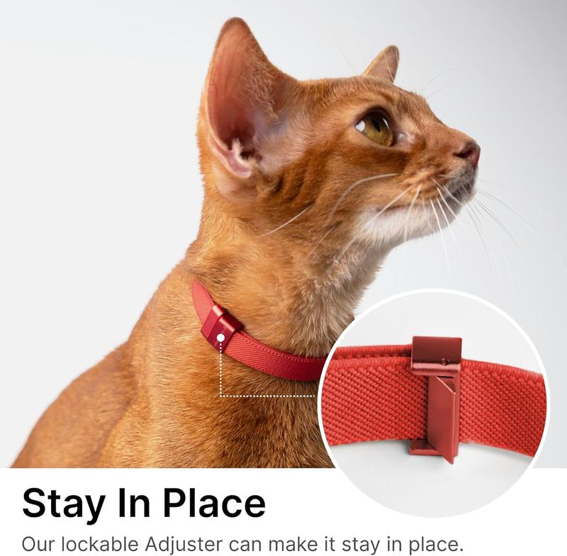 Cat collar that will stay on hotsell