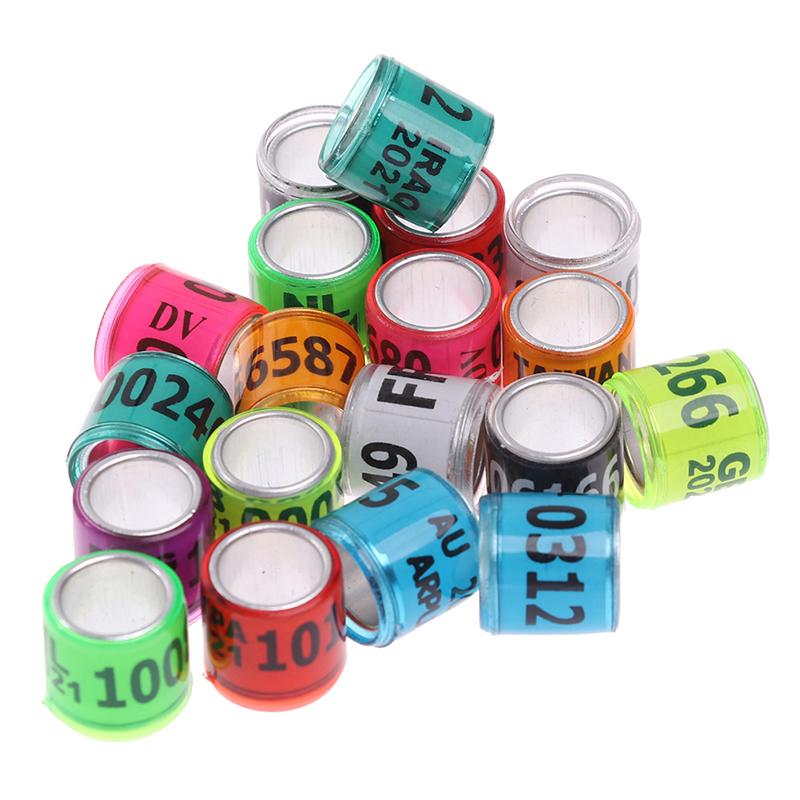 Product Introduction of 20 pcs Pigeon Foot Ring With Word Earrings 2023 Multicolor Bird Tools 19