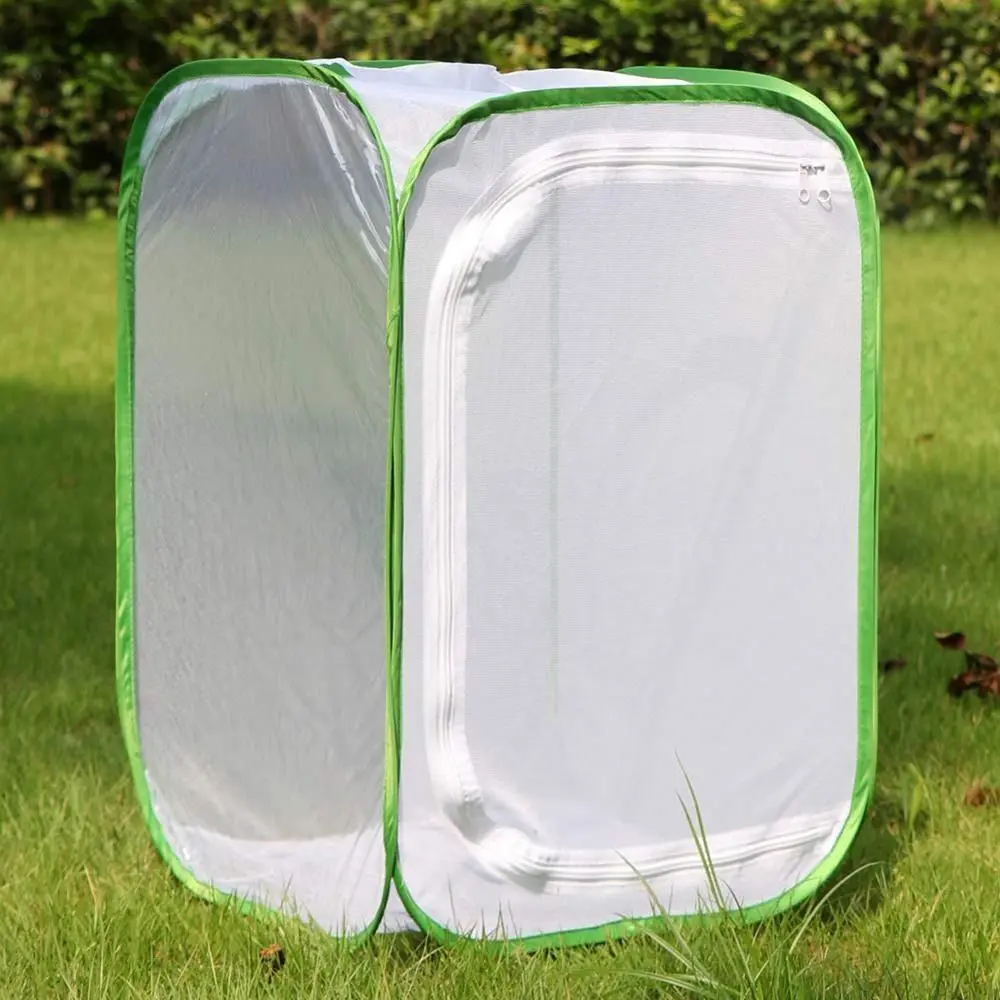 Collapsible Green Net Cloth Farm Tool Grasshopper Habitat Grasshopper Breeding Incubator Box For Mantis Stick Insect Observation Cage Insect Cage Habitat Cage Insect Supplies