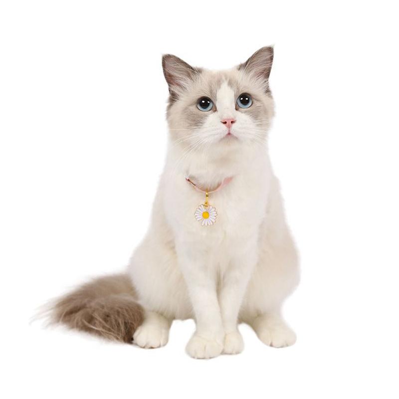 Product Introduction of Daisy Flower Pet Cat Collars Floral Adjustable Safety Breakaway Puppy Chihuahua Collar Kitten Rabbit Necklace Cat Accessories #341721 39