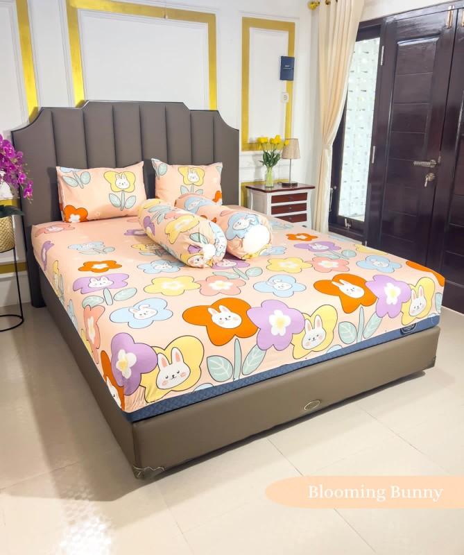 Product Introduction of seprei doble karet 5